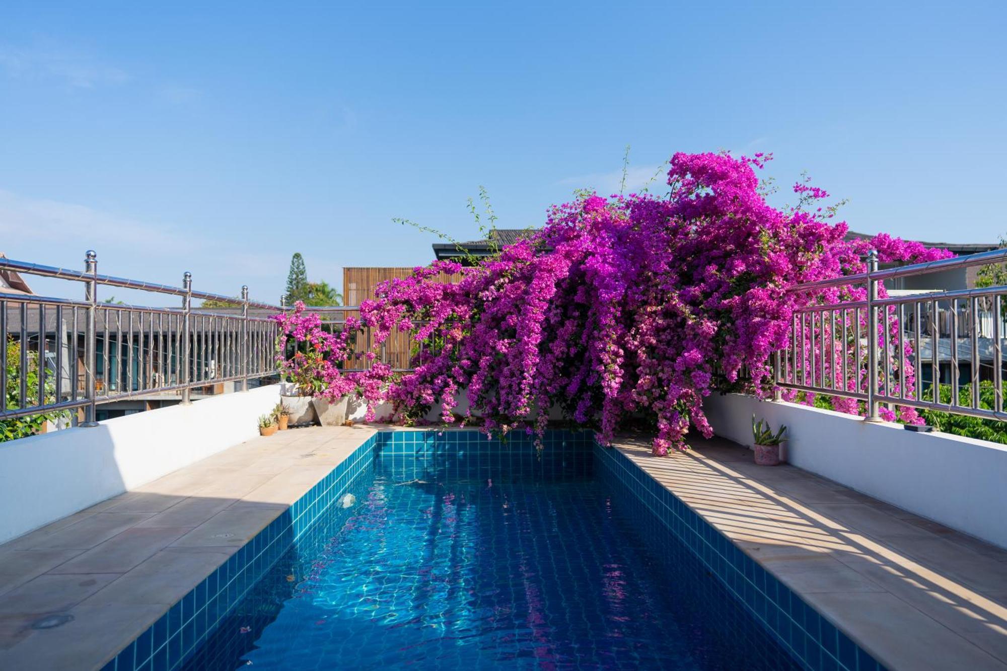 Mammoth Art Studio Pool Villa In Old City Chiang Mai Zewnętrze zdjęcie